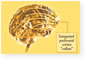 Brain’s CEO